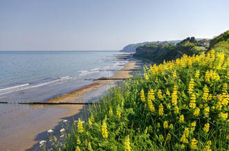 Sandown bay beaches viewed from the cliff path walk between Sandown and Shanklin.
